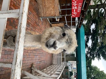 としまえんに投稿された画像（2020/7/22）