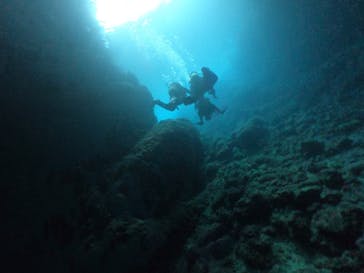 DIVING-SHOP SUNSに投稿された画像（2020/7/22）