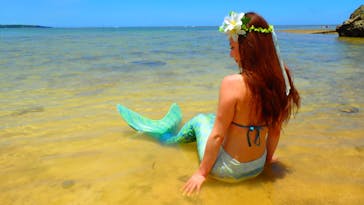 ダイビングショップ Sea Free（シーフリー）に投稿された画像（2020/7/22）