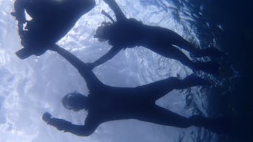 ダイビングショップ Sea Free（シーフリー）に投稿された画像（2020/7/22）