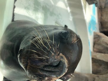 サンシャイン水族館に投稿された画像（2020/7/22）