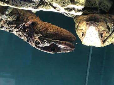 サンシャイン水族館に投稿された画像（2020/7/22）