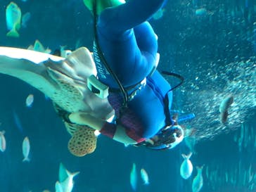 サンシャイン水族館に投稿された画像（2020/7/22）