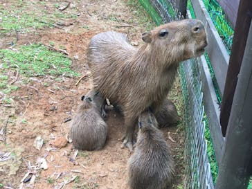 美らヤシパークオキナワ・東南植物楽園に投稿された画像（2020/7/22）