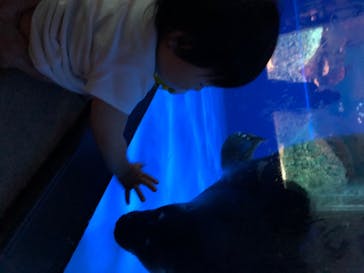 サンシャイン水族館に投稿された画像（2020/7/22）