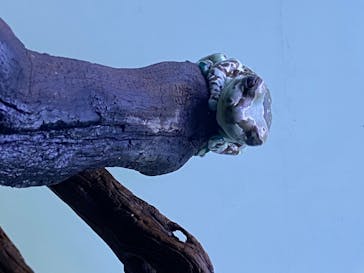 サンシャイン水族館に投稿された画像（2020/7/22）