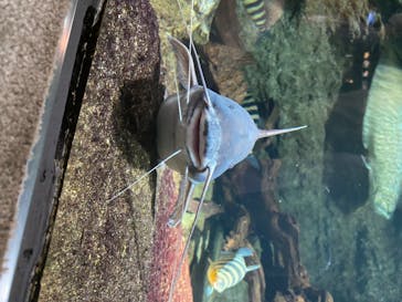 サンシャイン水族館に投稿された画像（2020/7/22）