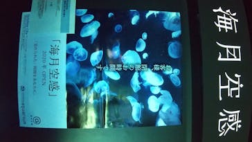 サンシャイン水族館に投稿された画像（2020/7/22）