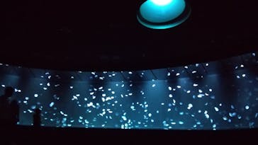 サンシャイン水族館に投稿された画像（2020/7/22）