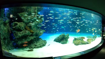 サンシャイン水族館に投稿された画像（2020/7/22）