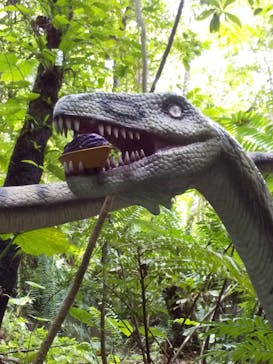 御菓子御殿　名護店　やんばる亜熱帯の森DINO恐竜PARKに投稿された画像（2020/7/22）