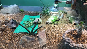 サンシャイン水族館に投稿された画像（2020/7/22）