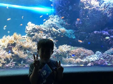 サンシャイン水族館に投稿された画像（2020/7/22）