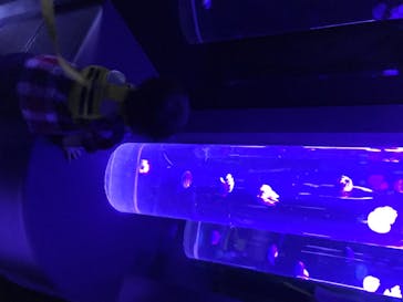 サンシャイン水族館に投稿された画像（2020/7/22）