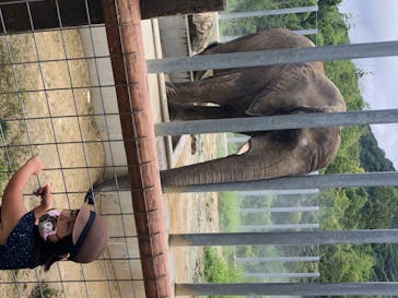 しろとり動物園に投稿された画像（2020/7/23）