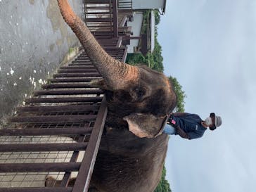 那須サファリパークに投稿された画像（2020/7/23）