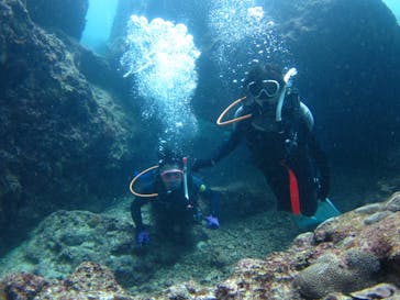 沖縄ダイビングショップシーモールに投稿された画像（2020/7/23）