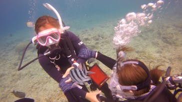 マリンクラブナギに投稿された画像（2020/7/22）