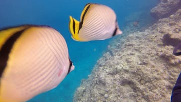 マリンクラブナギに投稿された画像（2020/7/22）