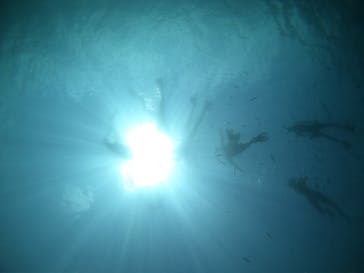 武藤潜水に投稿された画像（2020/7/23）