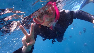 ダイビングショップ Sea Free（シーフリー）に投稿された画像（2020/7/23）