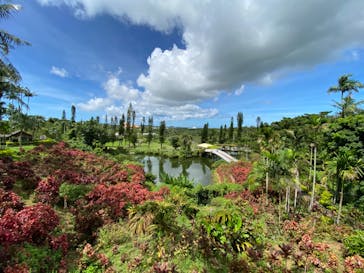 美らヤシパークオキナワ・東南植物楽園に投稿された画像（2020/7/23）