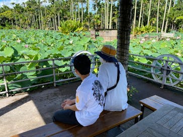 美らヤシパークオキナワ・東南植物楽園に投稿された画像（2020/7/23）