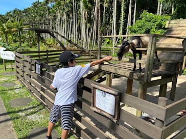 美らヤシパークオキナワ・東南植物楽園に投稿された画像（2020/7/23）