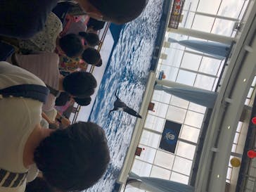 アクアワールド茨城県大洗水族館に投稿された画像（2020/7/23）