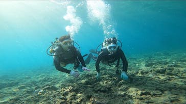 青の洞窟専門店　沖縄ダイビングショップ和に投稿された画像（2020/7/23）