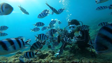 青の洞窟専門店　沖縄ダイビングショップ和に投稿された画像（2020/7/23）