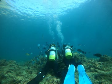 青の洞窟専門店　沖縄ダイビングショップ和に投稿された画像（2020/7/23）