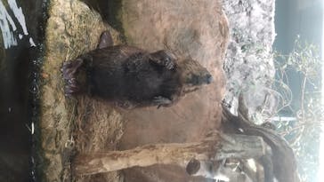 鳥羽水族館に投稿された画像（2020/7/23）