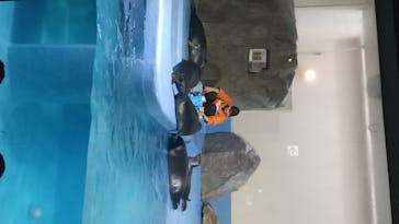 鳥羽水族館に投稿された画像（2020/7/23）