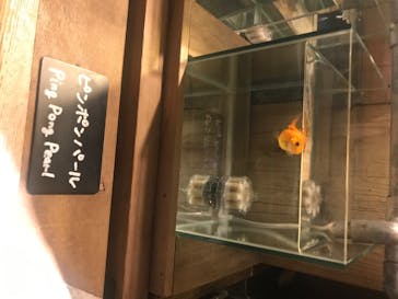 すみだ水族館に投稿された画像（2020/7/23）