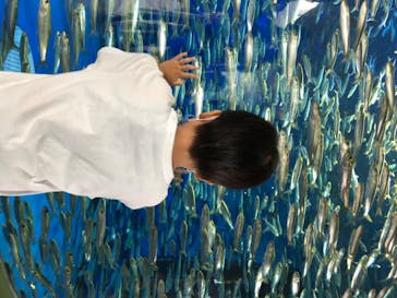 アクアワールド茨城県大洗水族館に投稿された画像（2020/7/23）