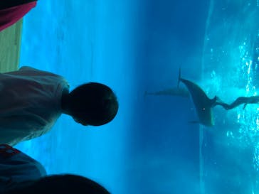 アクアワールド茨城県大洗水族館に投稿された画像（2020/7/23）