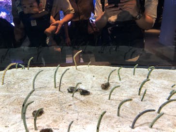 すみだ水族館に投稿された画像（2020/7/23）