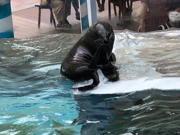 京都水族館に投稿された画像（2020/7/23）