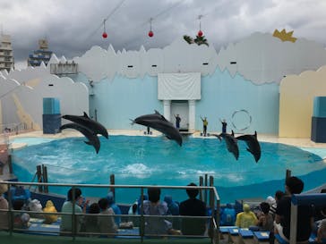 株式会社Gに投稿された画像（2020/7/23）