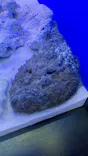 仙台うみの杜水族館に投稿された画像（2020/7/23）