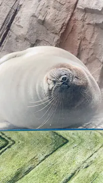仙台うみの杜水族館に投稿された画像（2020/7/23）