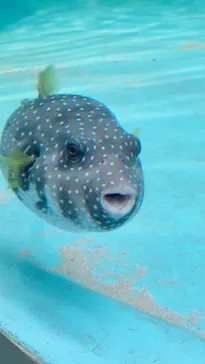仙台うみの杜水族館に投稿された画像（2020/7/23）