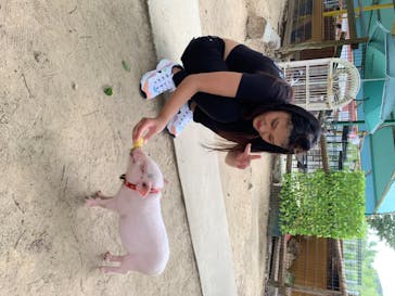 しろとり動物園に投稿された画像（2020/7/23）