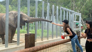 しろとり動物園に投稿された画像（2020/7/23）