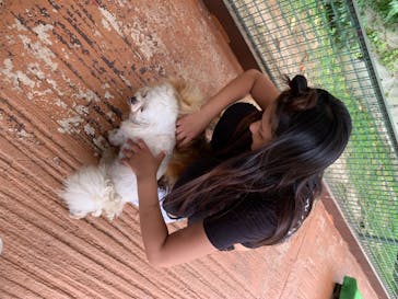 しろとり動物園に投稿された画像（2020/7/23）