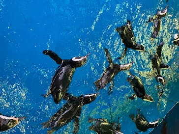 株式会社Gに投稿された画像（2020/7/23）