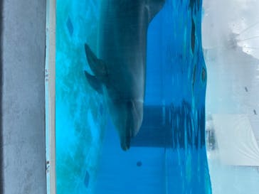 株式会社Gに投稿された画像（2020/7/23）