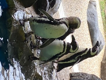 株式会社Gに投稿された画像（2020/7/23）