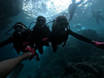 DIVING-SHOP SUNSに投稿された画像（2020/7/23）